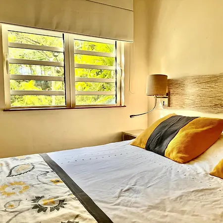 Waka Lodge - House With Garden-2